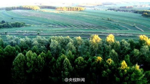 注意 這些行為均屬家暴 八月新規來了