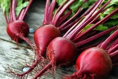 最有營養(yǎng)的十種食物,釋迦果上榜,第五被稱為天然抗氧化劑